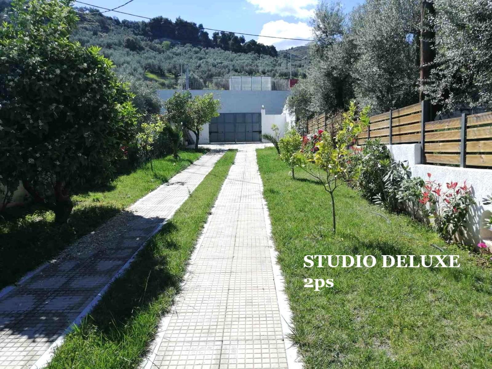Galini Studios Paralia Platanou อากราตา ภายนอก รูปภาพ